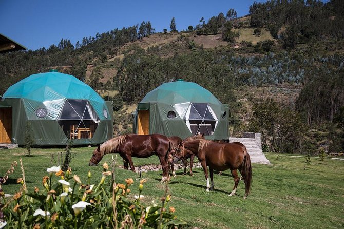 Salkantay Trek to Machu Picchu (5 Days) - Itinerary for the 5-Day Trek