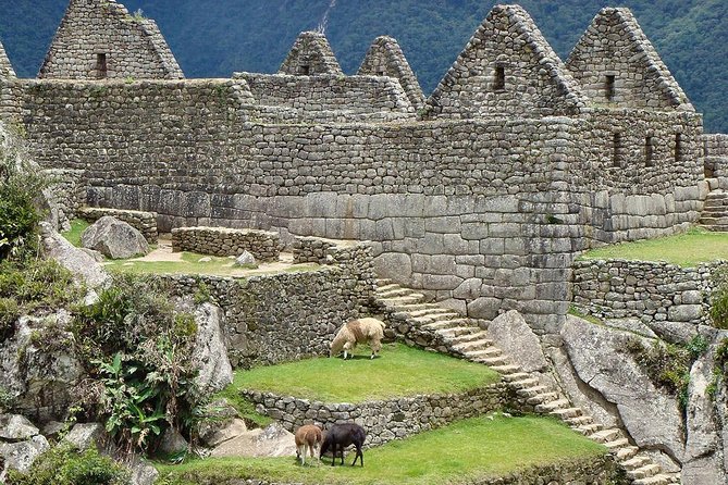 Salkantay Trek to Machu Picchu (5 Days) - Highlights of the Trek