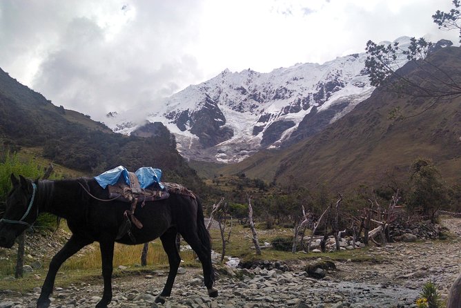 Salkantay Trek to Machu Picchu in 4 Days - Price and Details