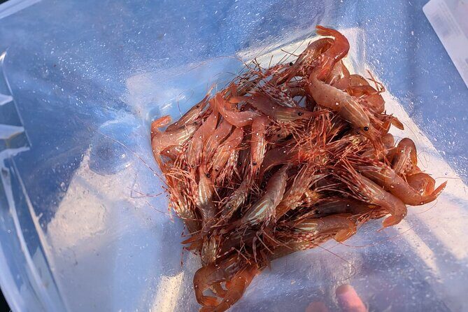 Salmon Fishing Charter in Vancouver - Price and Value: Is It Worth It?