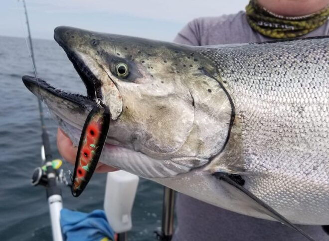 Salmon Fishing Tour Near Wasaga Beach - Fishing Experiences