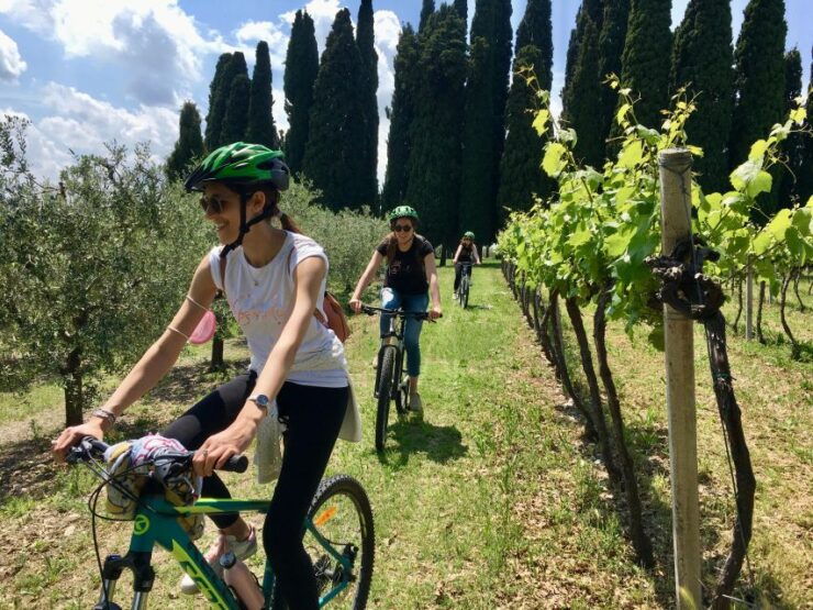 Salò: E-Bike Tour With Wine Tasting on Valtenesi Hills - Tour Name and Highlights