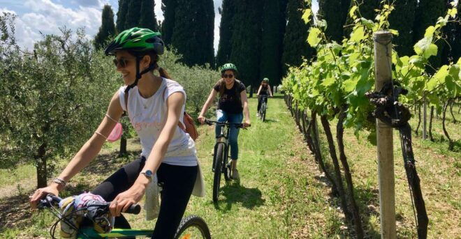Salò: E-Bike Tour With Wine Tasting on Valtenesi Hills - Language Options and Group Size