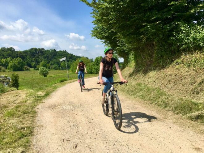 Salò: E-Bike Tour With Wine Tasting on Valtenesi Hills - Important Guidelines and Restrictions