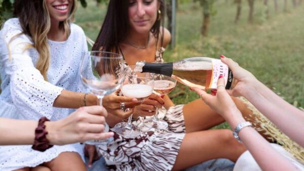 Salò: E-Bike Tour With Wine Tasting on Valtenesi Hills - Directions for the Tour
