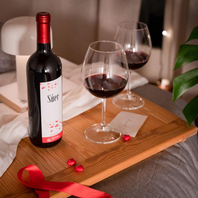 Salò: Tasting of 4 Valtenesi Wines With Local Food - Customer Review