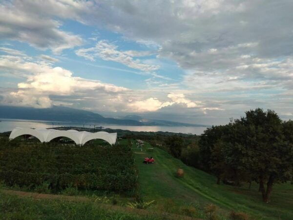 Salò: Tasting of 4 Valtenesi Wines With Local Food - The Sum Up