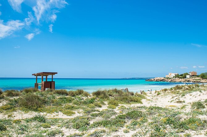 Salobrar Natural Park, Es Trenc Beach - Wildlife and Nature