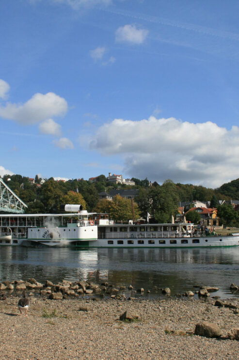 Salon Trip on the Coffee Steamer With Melitta Bentz - Itinerary and Highlights