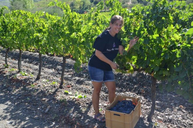 Salou: Bike Tour With Wine Tasting - Customer Satisfaction