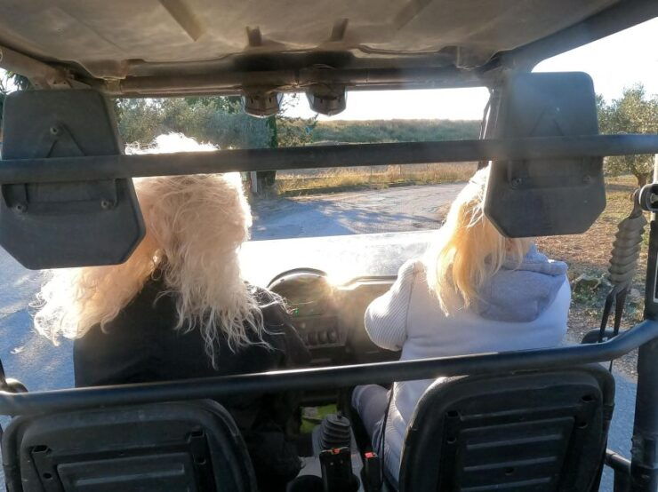 Salou: Buggy Safari With Hotel Transfer - Experience Highlights