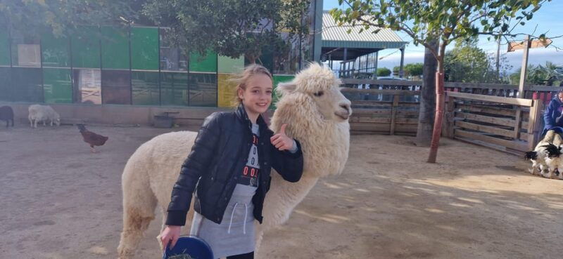 Salou, Cambrils, or Pineda: Animal Farm Roundtrip Transfer - Highlights of the Animal Interactions
