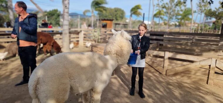 Salou, Cambrils, or Pineda: Animal Farm Roundtrip Transfer - Pricing and Savings Opportunities