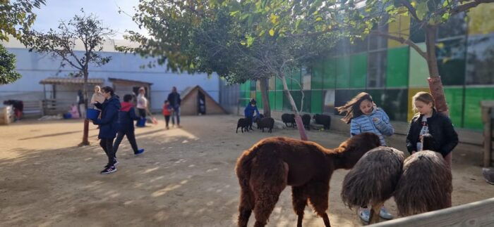 Salou, Cambrils, or Pineda: Animal Farm Roundtrip Transfer - Duration and Schedule of the Tour