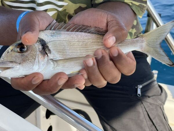 Salou: Hands-On Fishing Trip With Swimming at Sea - Meeting Point