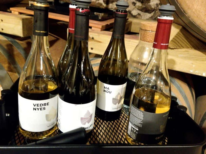 Salou: Priorat tasting Wine-Cellar Tour with hotel pickup - What to Expect from the Tour