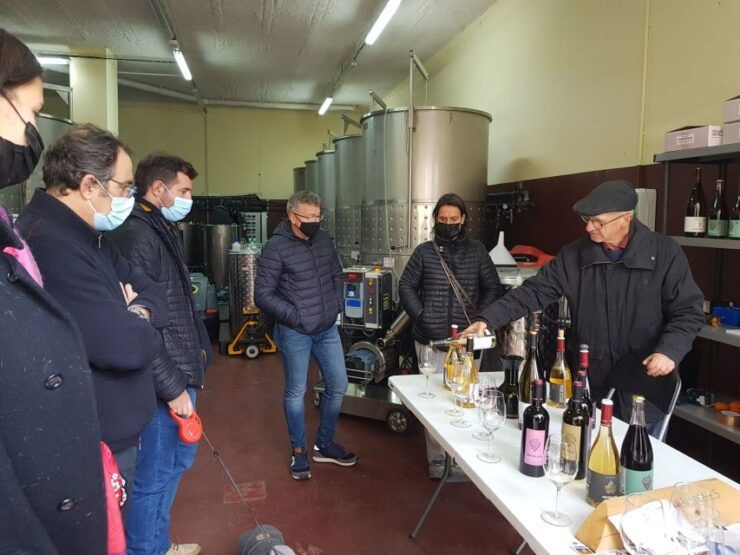 Salou: Priorat Wine-Cellar Tour With Wine Tasting - Tour Experience