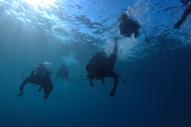 Salou Private Beginner Scuba Diving Course  - Tarragona - Pickup Location