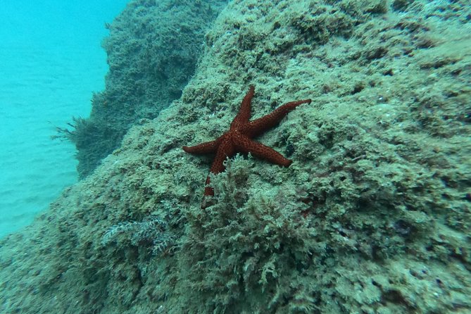 Salou Private Beginner Scuba Diving Course  - Tarragona - Booking Confirmation