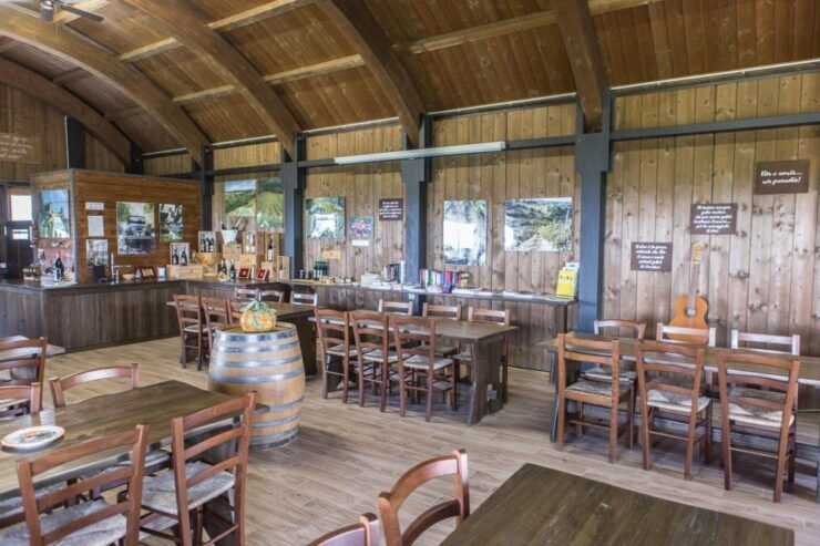 Salsomaggiore Terme: Wine Tasting With Food Pairing - Wine Selection and Pairing