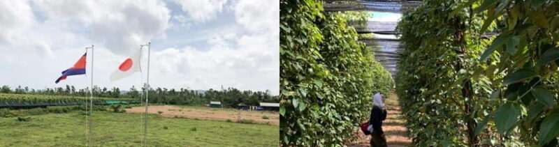 Salt Farm, Secret Lake, Secret Caves & Paper Farm - The Sum Up