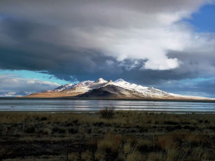 Salt Lake City: Great Salt Lake Antelope Island Guided Tour - Experience Highlights
