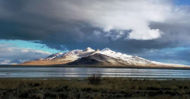 Salt Lake City: Great Salt Lake Antelope Island Guided Tour - Full Description