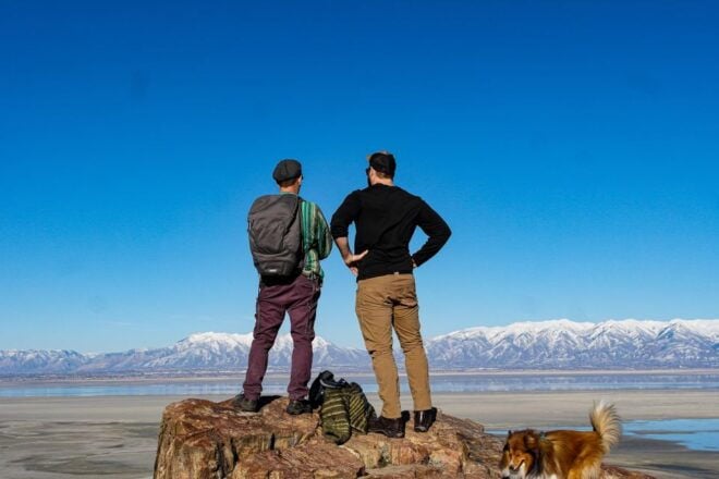 Salt Lake City: Great Salt Lake Wildlife & Sunset Experience - Important Tips for the Experience