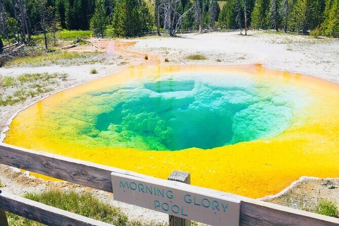 Salt Lake City to Yellowstone and Mt Rushmore 4 Day Tour - Good To Know