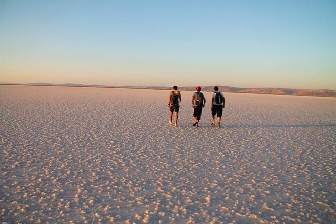 Salt Lake Tour With Lunch - Reviews