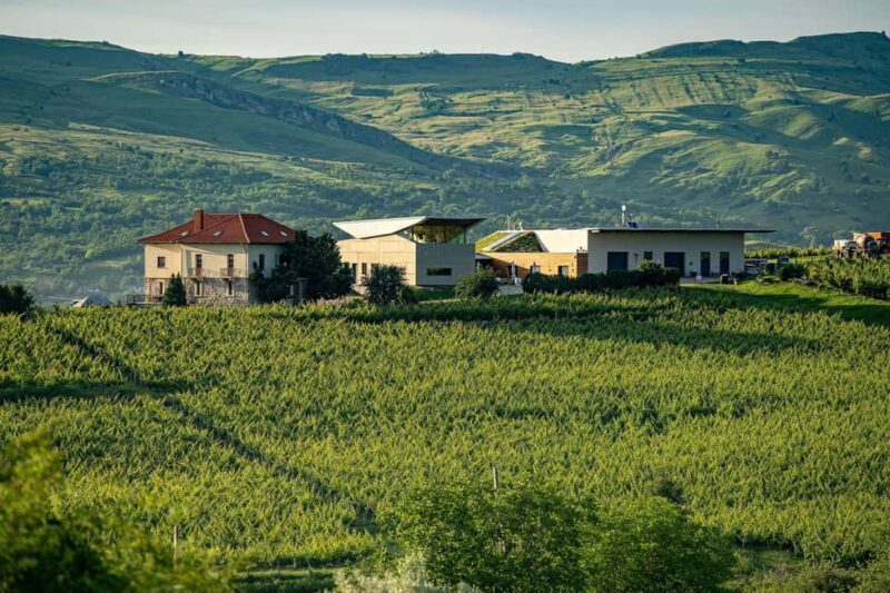 Salt Mine, Lunch at Winery & Dracula's Tomb - Small Group 7p - Detailed Breakdown of the Itinerary