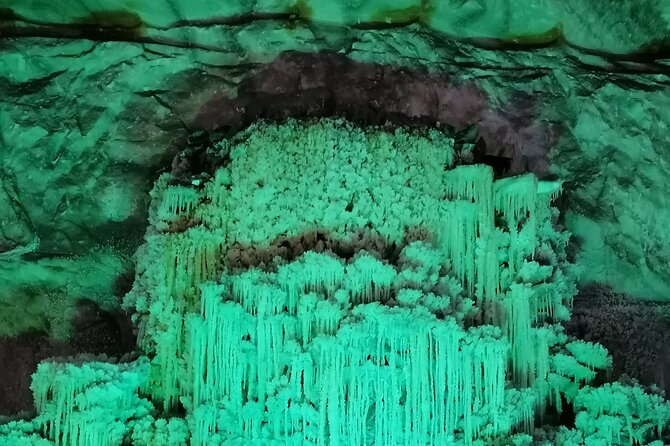 Salt Mine Prahova and Muddy Volcanoes Private Tour From Bucharest - Tour Logistics