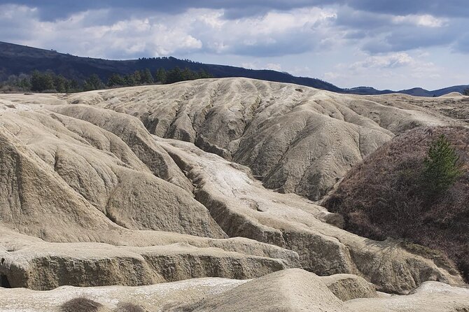 Salt Mine Prahova and Muddy Volcanoes Private Tour From Bucharest - Customer Reviews
