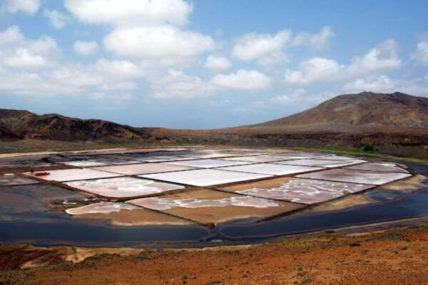 Salt Pans & Lemon Sharks Experience - Frequently Asked Questions