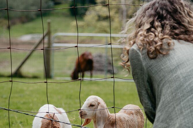 Salt Spring Island "Artisan Trail" Hop On Hop Off Tour! - FAQs  