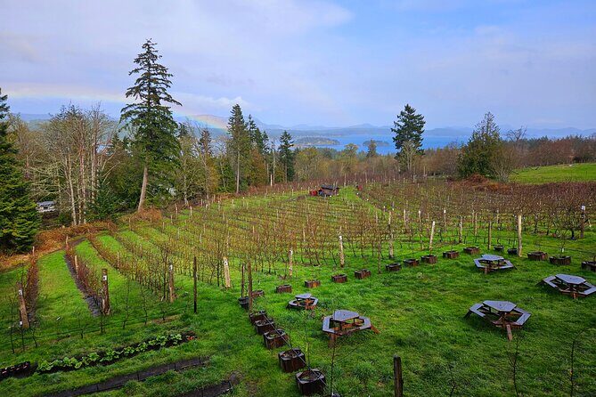 Salt Spring Island "Artisan Trail" Hop On Hop Off Tour! - Final Thoughts  