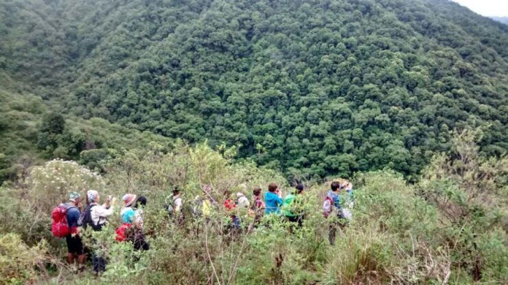 Salta: Andes Mountain Half or Full Day Trekking Tour - Customer Reviews