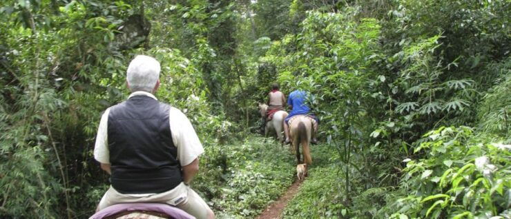Salta: Horseback Riding in the Mountains - Activity Details