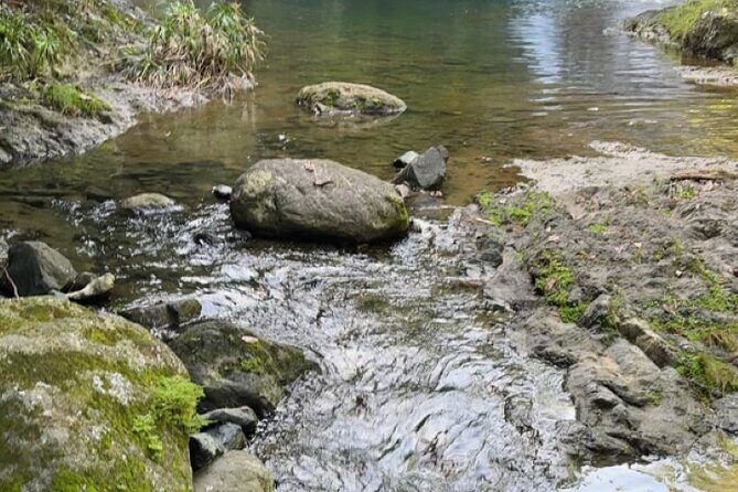 Salto de Pilar Cliff Jumping Tour - FAQ