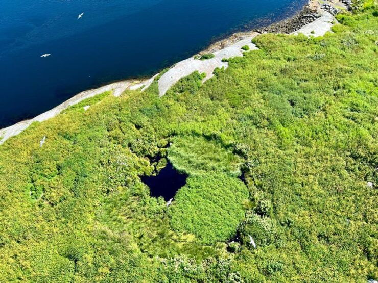 Saltstraumen: Arctic Adventure and Scenic Journey W/ Pick up - Itinerary Details