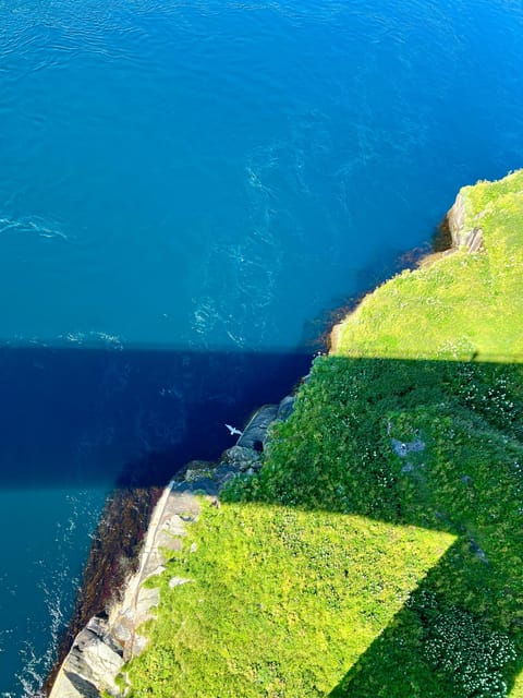 Saltstraumen: Arctic Adventure and Scenic Journey W/ Pick up - Participant Information