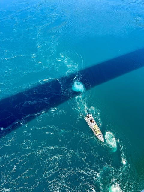 Saltstraumen: Arctic Adventure and Scenic Journey W/ Pick up - Customer Feedback