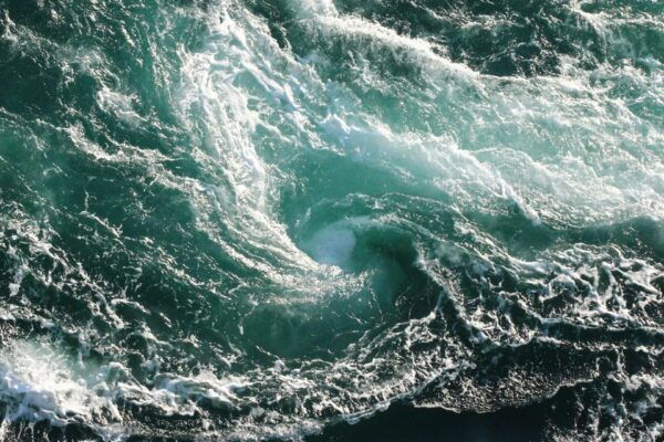 Saltstraumen: Arctic Adventure and Scenic Journey W/ Pick up - Booking and Cancellation