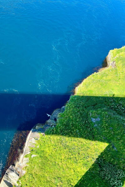 Saltstraumen: Arctic Adventure and Scenic Journey W/ Pick up - Getting to Saltstraumen