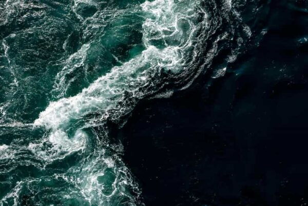 Saltstraumen: Arctic Adventure and Scenic Journey W/ Pick up - Local Snacks and Refreshments