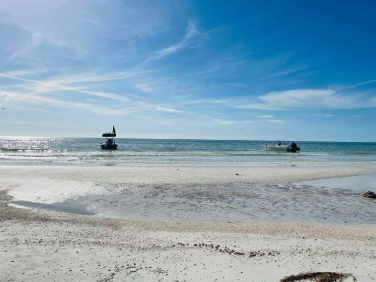 Salty Turtle Adventure Charter - Activity Details