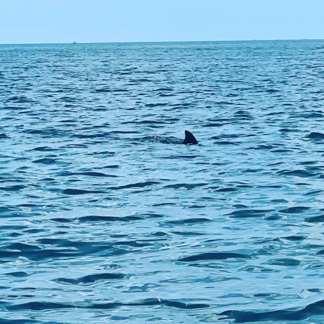 Salty Turtle Adventure Charter - Inclusions