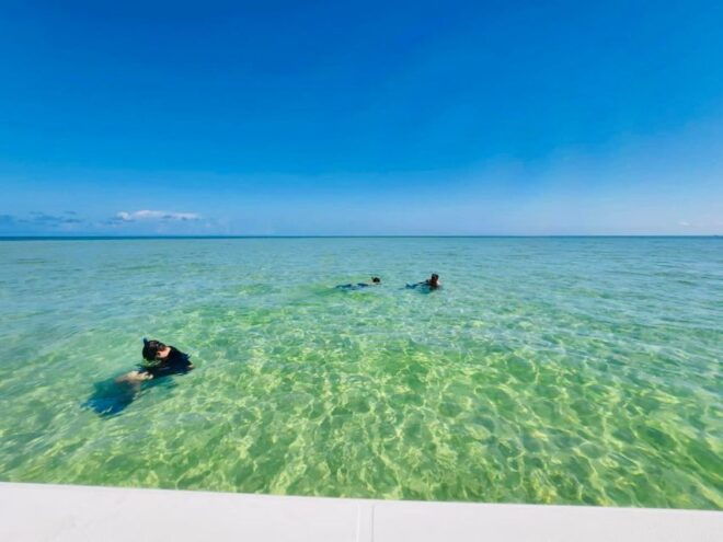 Salty Turtle Adventure Charter - Salty Turtle Adventure Charter
