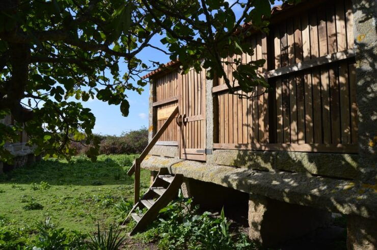 Salvora: Island Tour With Mussel Tasting - Good To Know