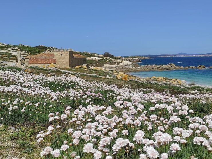 Salvora: Island Tour With Mussel Tasting - Booking Details for Salvora Island Tour